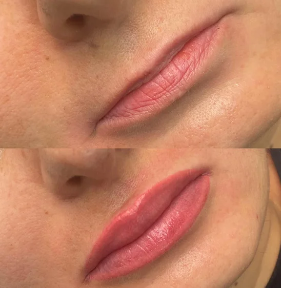 permanent lip liner